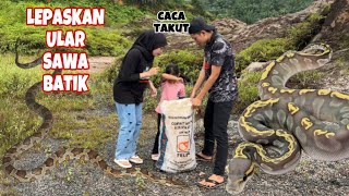 VLOG❗️LEPASKAN ULAR SAWA KAT AREA HUTAN 😨‼️ [upl. by Emilee18]