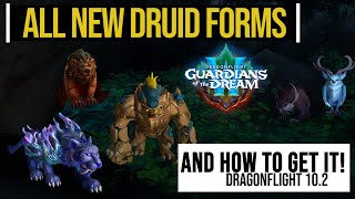 New 102 Druid Forms  Guardians of the Dream Druid Forms Guide  Get new druid forms Fast amp Easy [upl. by Aselehc599]