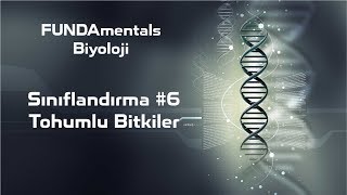 Sınıflandırma 6 Tohumlu Bitkiler [upl. by Dlorrej]