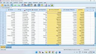 Spss Automatic Record Select Split and Compute [upl. by Naejeillib158]