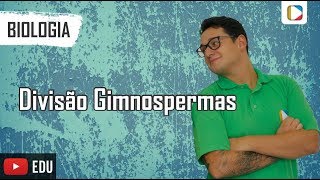 Biologia  Divisão Gimnospermas [upl. by Margret]