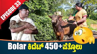 Bolar Vs Nandalike  Bolar ಕಿದೆಟ್ 450 ಪೆತ್ತೊಲು│Private Challenge 30S3│EP  33│Tulu Comedy [upl. by Aserat475]