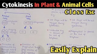 Cytokinesis In Plant And Animal Cells  Phragmoplast  Class 12 Biology [upl. by Oilenroc]