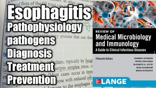 Esophagitis in Urdu ampHindi Gastrointestinal tract Infection [upl. by Addiego]