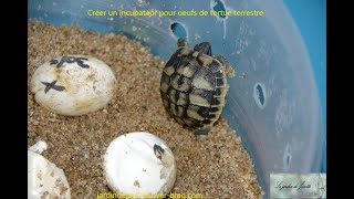 TUTO incubateur oeufs tortue Hermann [upl. by Viridis]