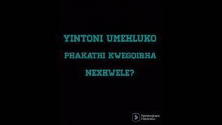 Yintoni umehluko phakathi kwegqirha nexhwele  Ntombiyengwevu [upl. by Geraint]