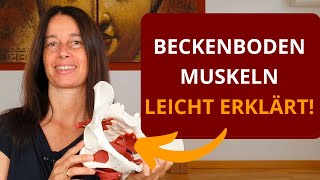 Beckenboden Muskulatur einfach und praktisch erklärt [upl. by Enier]