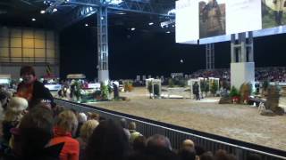 HOYS Working Hunter 1 [upl. by Gunner]