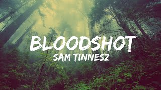 Sam Tinnesz  Bloodshot Lyrics QHD [upl. by Fowkes]