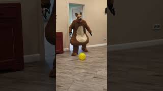 A fat shaggy dog brings balloons to the little doggie [upl. by Wiltsey]