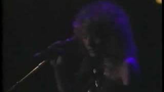 Stevie Nicks  Beauty and the beast live 1983 [upl. by Marcella]