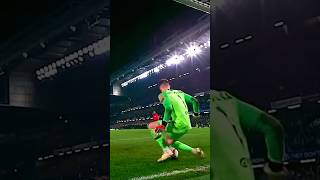 Impossible Goalkeeper Saves 🤯 [upl. by Simona]