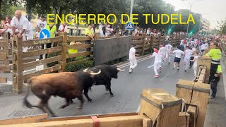 ENCIERRO DE TUDELA  DOMINGO 28 Julio 2024  CURVA HACIA CALLEJÓN DOS HERIDOS 🤕 ‼️ [upl. by Annaoj]