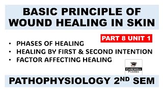 Basic Principle Of Wound Healing In The Skin  Part 8 Unit 1  Pathophysiology B Pharm 2nd Semester [upl. by Cyma386]