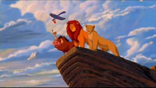 The Lion King Circle Of Life Funny Parody [upl. by Ocirrej]