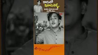 కారులో షికారుకెళ్ళే Karulo Shikarukelle Song  Thodi Kodallu Movie Melodious shorts Youtubeshorts [upl. by Jeconiah]