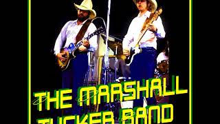 The Marshall Tucker Band Live at the Nassau Coliseum Uniondale NY  1976 audio only [upl. by Rehpotsrhc]