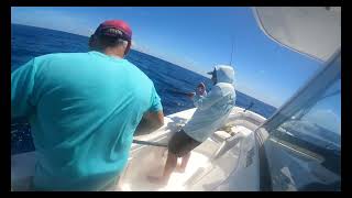 Red Grouper American Red Snapper Lanes and suprise Trigger Fish [upl. by Fates]