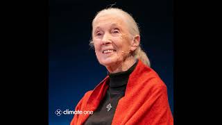 Jane Goodall Celebrating 90 [upl. by Nessim]