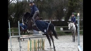 Cours de saut avec Queen [upl. by Borlow]