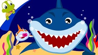 Baby Shark Song  Animal Songs with lyrics [upl. by Rame129]