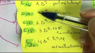 Biochimie  les lipides الدسم بطريقة مبسطة 🤩✨ [upl. by Clancy]