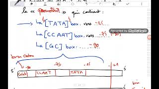 La régulation de lexpression de linformation génétique chez les eucaryotes [upl. by Konikow]