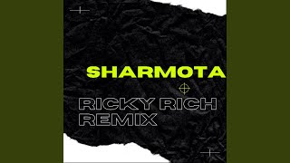 Ricky Rich Remix Remix [upl. by Eikcor]