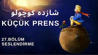 Kitap çalışması  27Bölüm  Küçük prensشازده کوچولوSeslendirme [upl. by Kemppe]