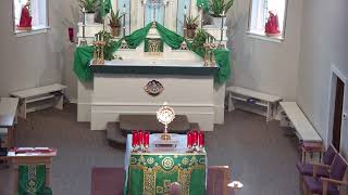 8am Mass at St Mary of Lourdes Live Stream [upl. by Daphene579]