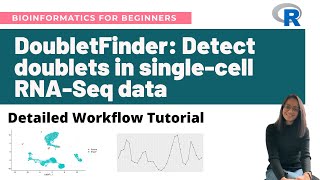 DoubletFinder Detect doublets in singlecell RNASeq data in R  Detailed workflow tutorial [upl. by Lasala]