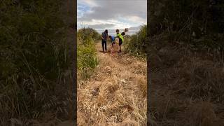 New Backyard MTB Trails watch full vid on channel australia mtb shorts viralshorts fyp [upl. by Dadirac]