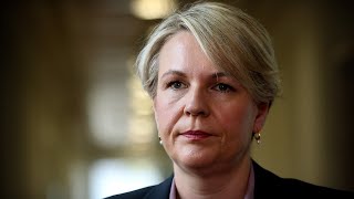 Sensible Labor people ‘questioning’ Tanya Plibersek’s gold mine project call [upl. by Iron]