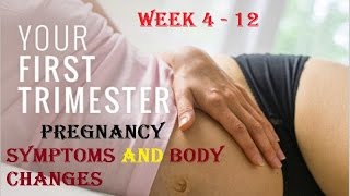 First Trimester Pregnancy Symptoms Week 4  12  4 weeks pregnant [upl. by Romney]