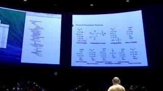 Pentose PhosphateGlycogen I  Kevin Aherns BB 450 Lecture 26 2016 [upl. by Llenyl540]