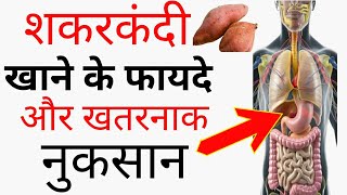 Ganji  शकरकंदी खाने के फायदे  Sweet Potato Benefits In Hindi  Shakarkandi Ke Fayde Aur Nuksan [upl. by Frieder]