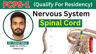 FCPS1  Nervous System  Spinal Cord  Anatomy of Spinal Tracks Blood Supply [upl. by Berck]