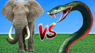 Elephant vs Snake Fight With SHINCHAN vs CHOP Epic Battle [upl. by Nosimaj]