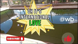 International Love lyrics feat Chris BrownPitbull [upl. by Attenyl]