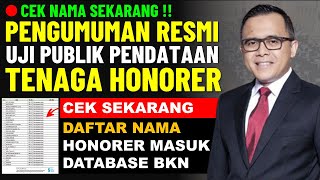 🔴PENGUMUMAN RESMI DAFTAR NAMA TENAGA HONORER YANG MASUK DATABASE BKN PENDATAAN NON ASN 2022 [upl. by Arul]