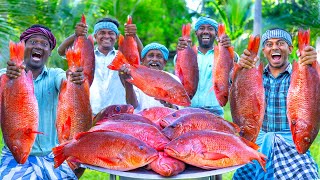 RED SNAPPER FISH  Big Fish Grill Recipe Cooking in Village  Fish Fry in Clay  Ancient Cooking [upl. by Proudlove]