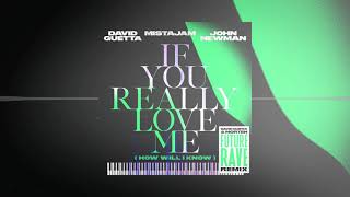 David Guetta x MistaJam x John Newman  If You Really Love Me Future Rave Remix [upl. by Jaal415]