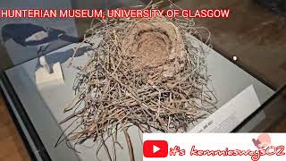 ADVENTURE THROUGH HUNTERIAN MUSEUM GLASGOW [upl. by Edivad505]