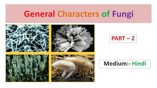 General Characters of Fungi Part2 Hindi [upl. by Akemrej445]