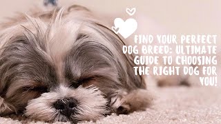 Find Your Perfect Dog Breed Ultimate Guide to Choosing the Right Dog for You [upl. by Innes]