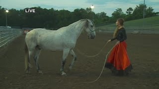 World’s Championship Hamel Rodeo Kicks Off Thursday [upl. by Emily]