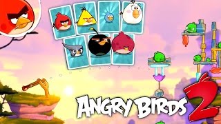 MANY ANGRY BIRDS Toys Unboxing [upl. by Latsyrhk767]