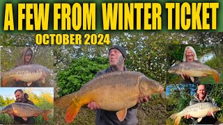 A FEW CARP FROM WINTER TICKET OCTOBER 2024  carp fishing [upl. by Maxentia]