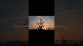 This song  Provenza slowed lyrics musicvideo songlyrics nature fyp [upl. by Kcirddes206]