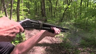 Winchester 1897 12 Gauge Woods Walk [upl. by Calv962]